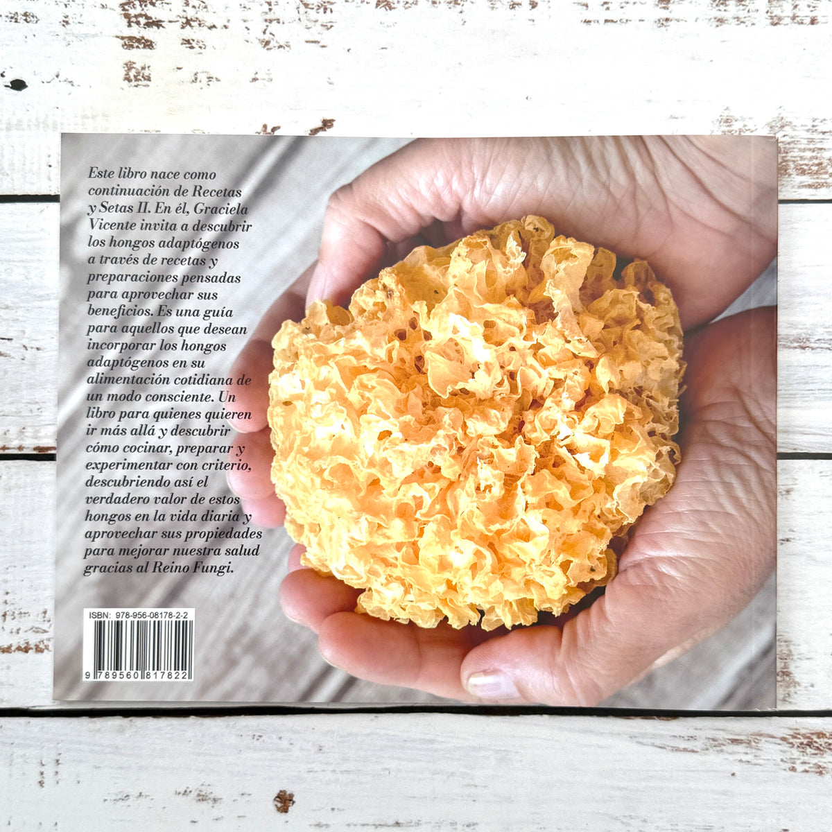 Recetas & Setas. Cocinando con hongos (Vol III)