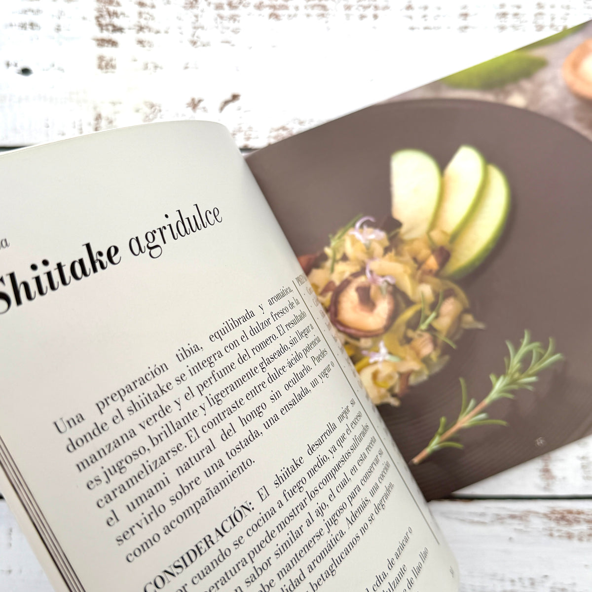 Recetas & Setas. Cocinando con hongos (Vol III)