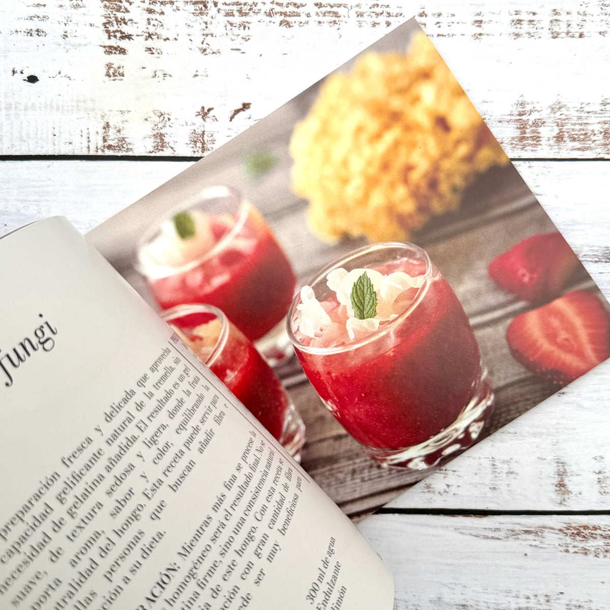 Recetas & Setas. Cocinando con hongos (Vol III)