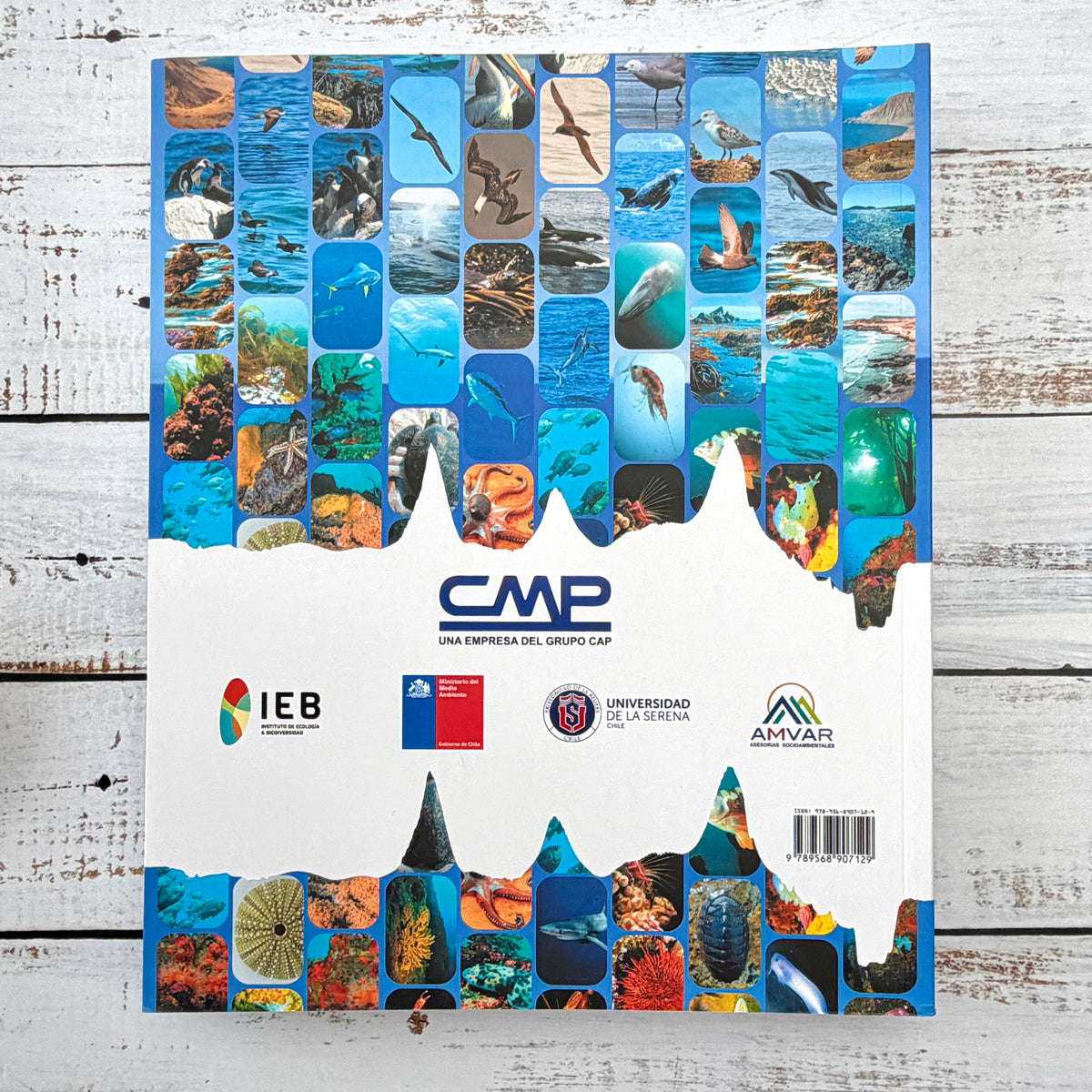 Biodiversidad Marina y Terrestre de la Región de Atacama
