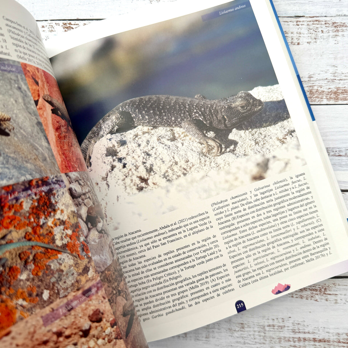 Biodiversidad Marina y Terrestre de la Región de Atacama