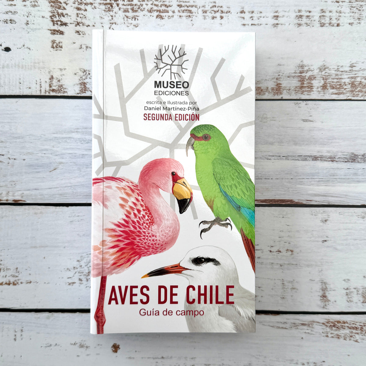 Aves de Chile. Guía de campo. Segunda Edición (2026)