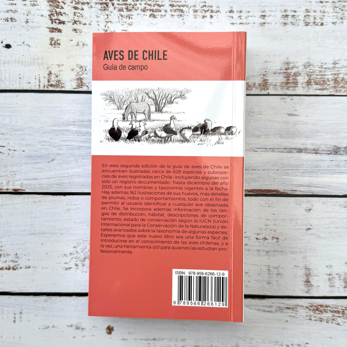 Aves de Chile. Guía de campo. Segunda Edición (2026)