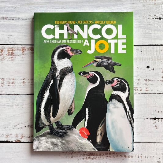 De chincol a jote. Aves chilenas imprescindibles (Ed 2025)