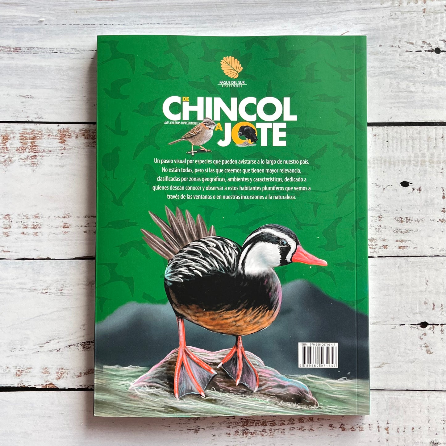 De chincol a jote. Aves chilenas imprescindibles (Ed 2025)