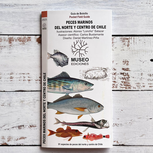 Guía plegable: Peces marinos del norte y centro de Chile