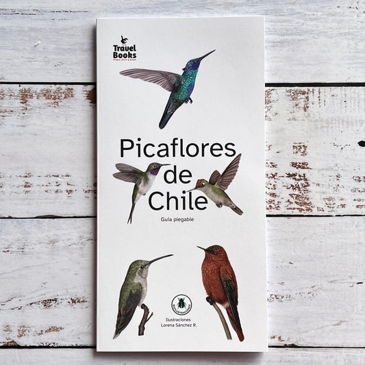 Picaflores de Chile (tríptico)