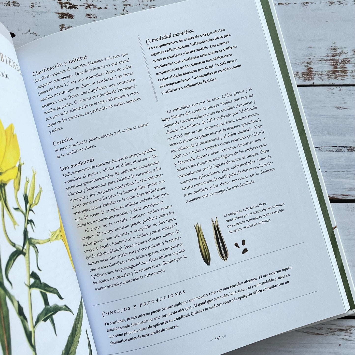 Botanicum Medicinale