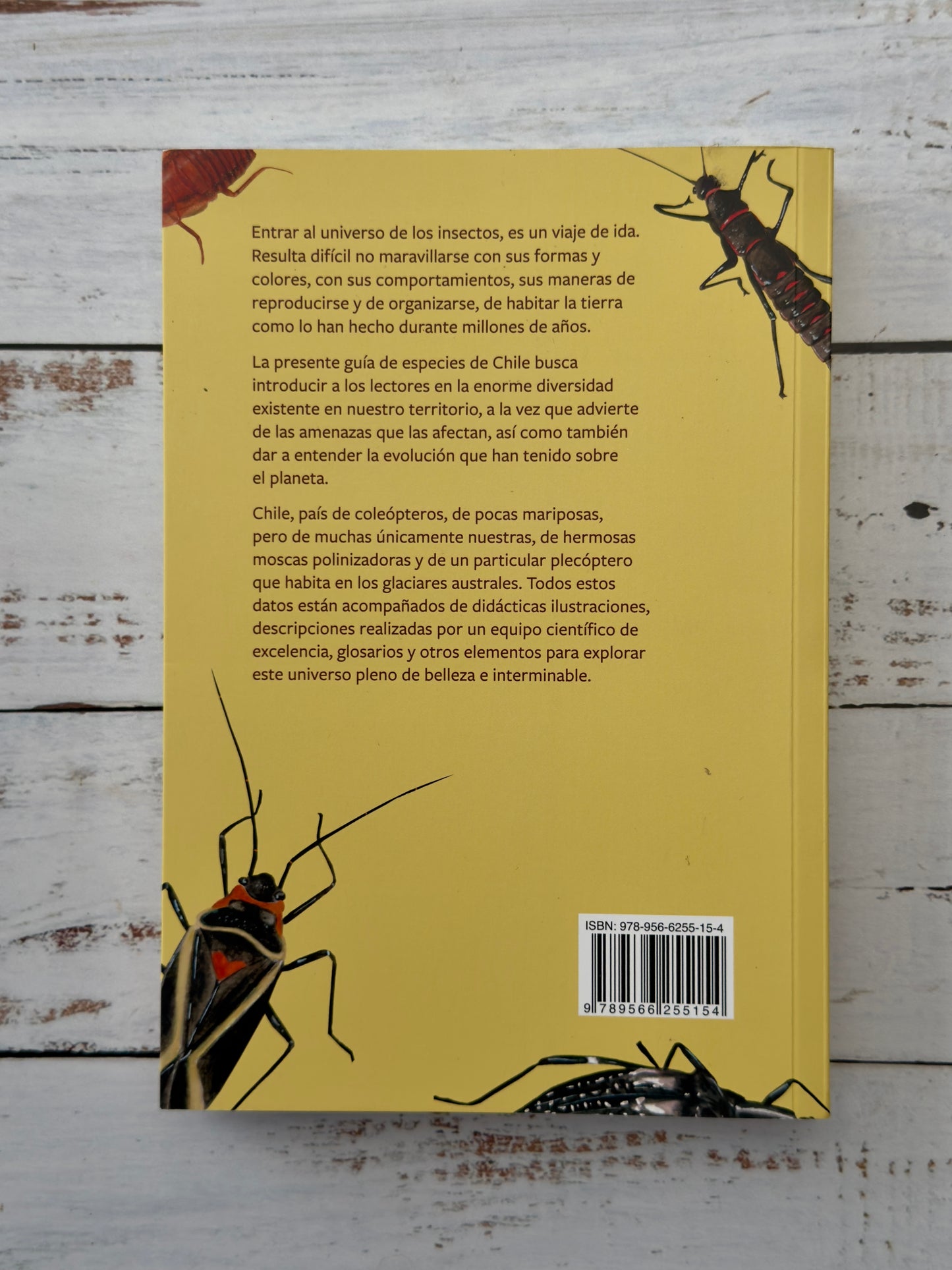Insectos de Chile. Guía para la identificación y conservación de especies nativas.
