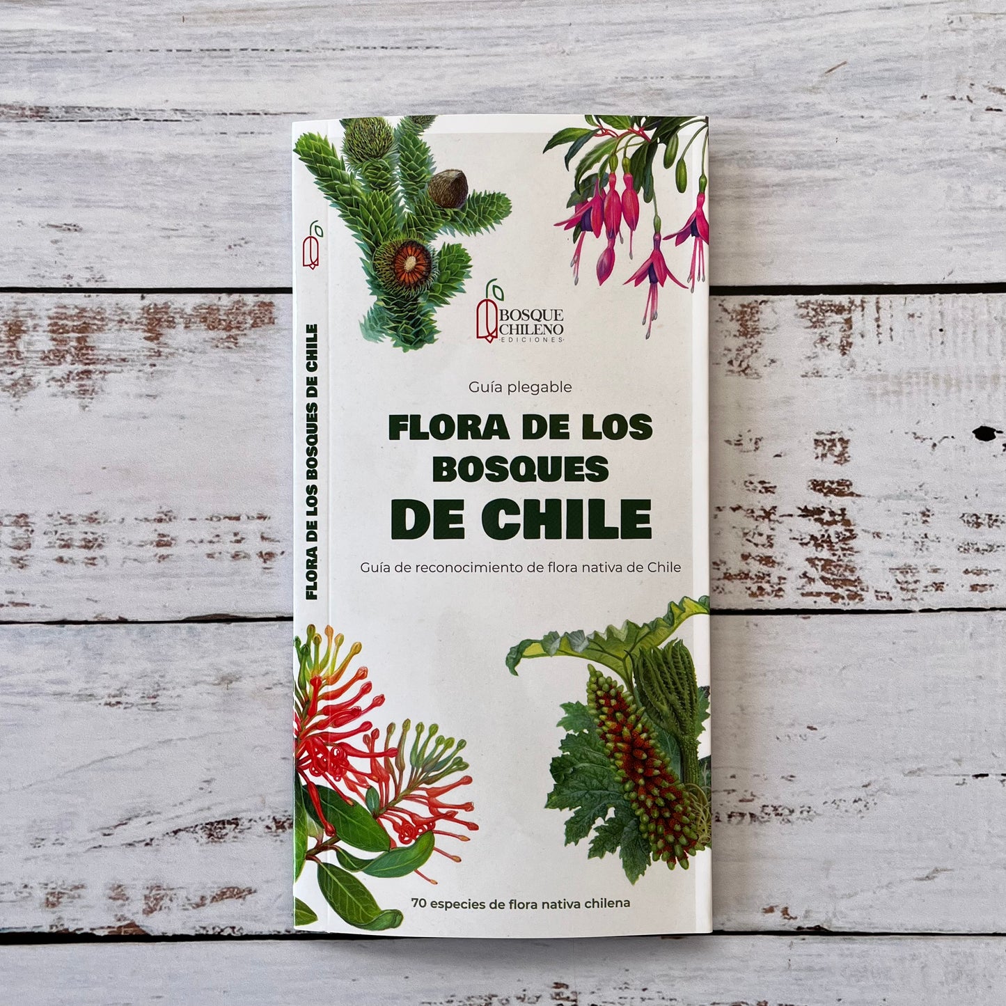 Guía plegble: Flora de los bosques de Chile