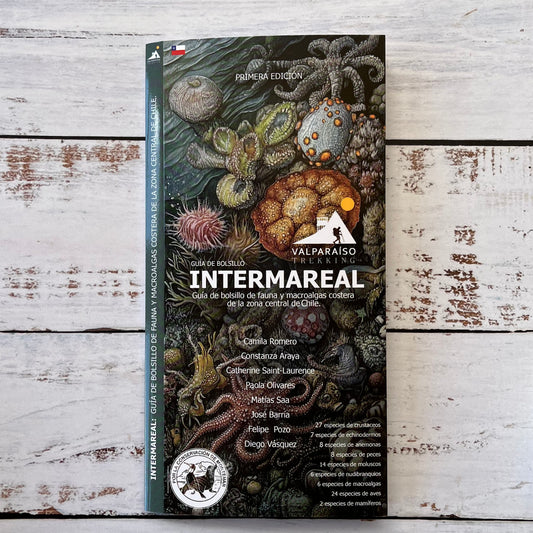 Guía plegable: Intermareal