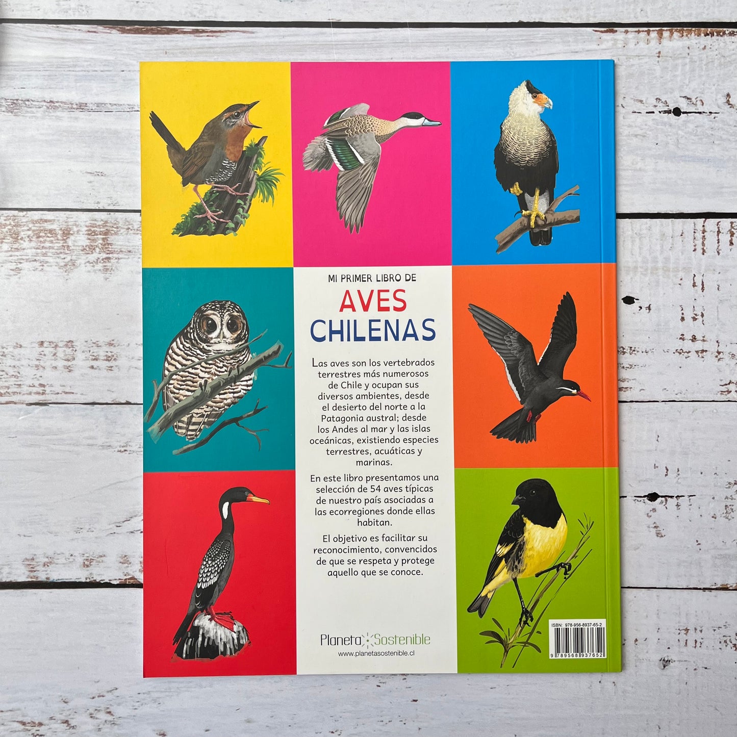 Mi primer libro de aves chilenas