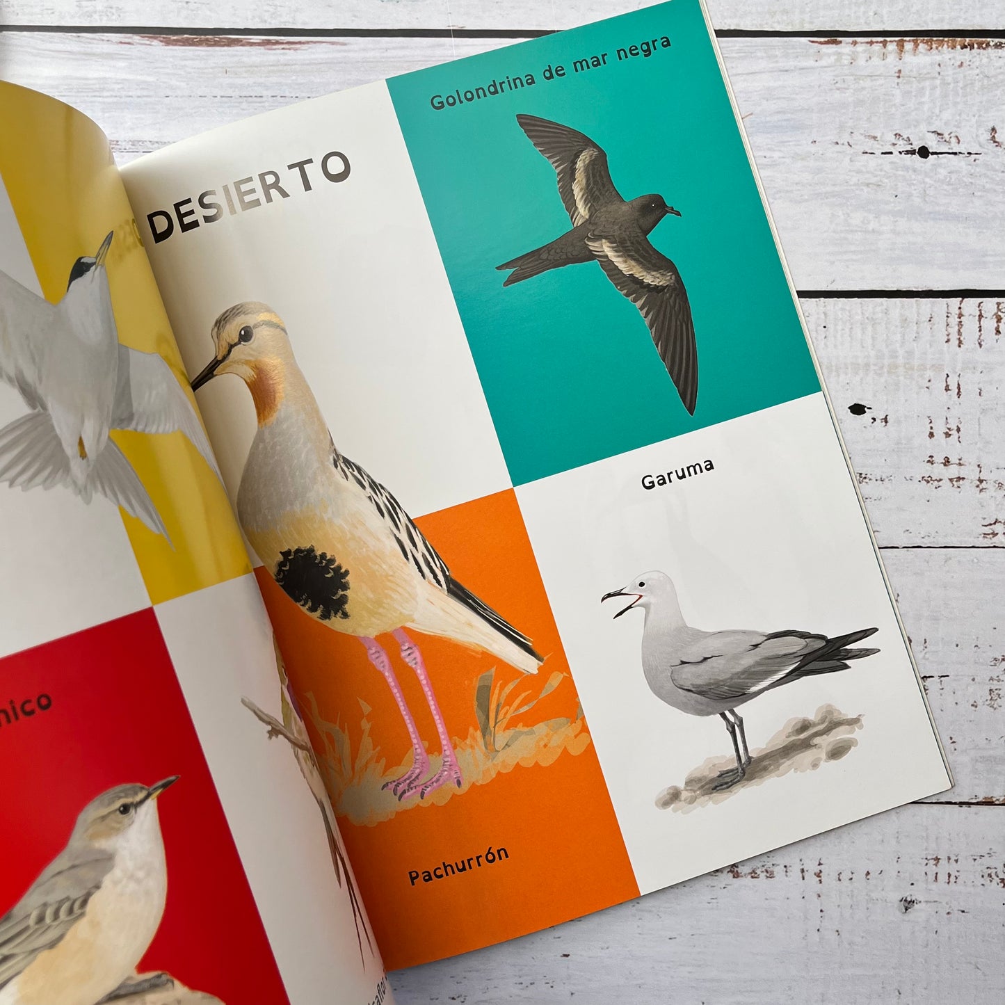 Mi primer libro de aves chilenas