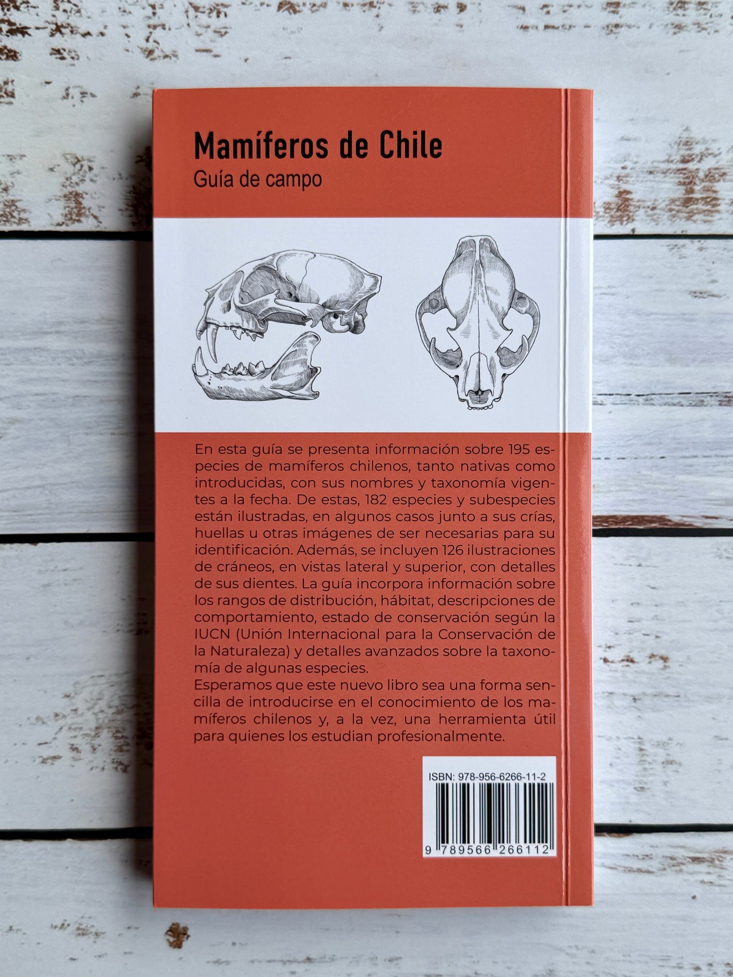 Mamìferos de Chile. guía de campo 2025