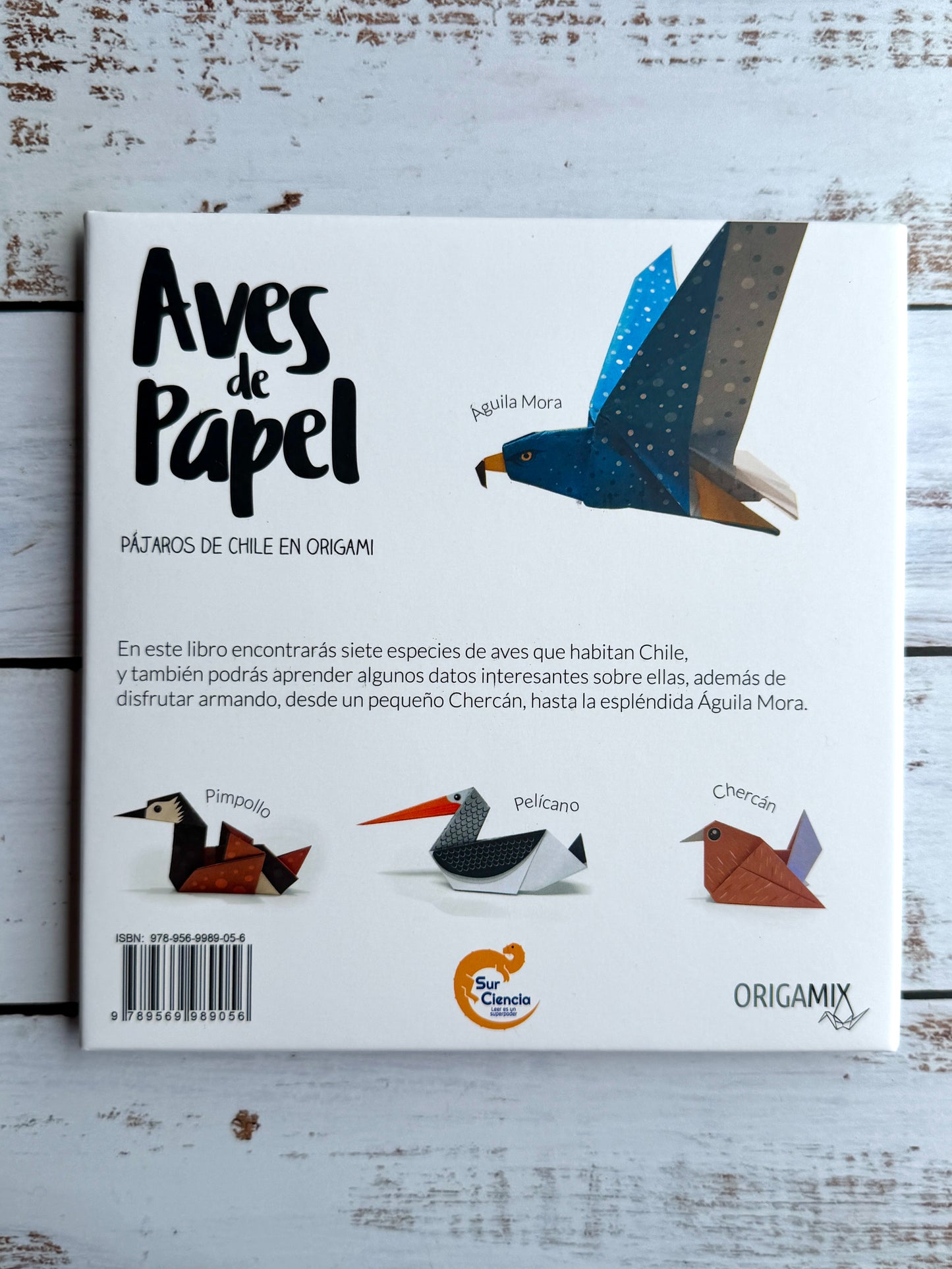 Aves de papel. 2025