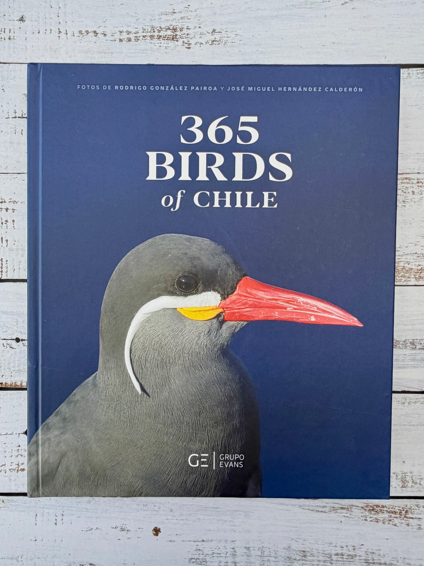 365 Birds of Chile