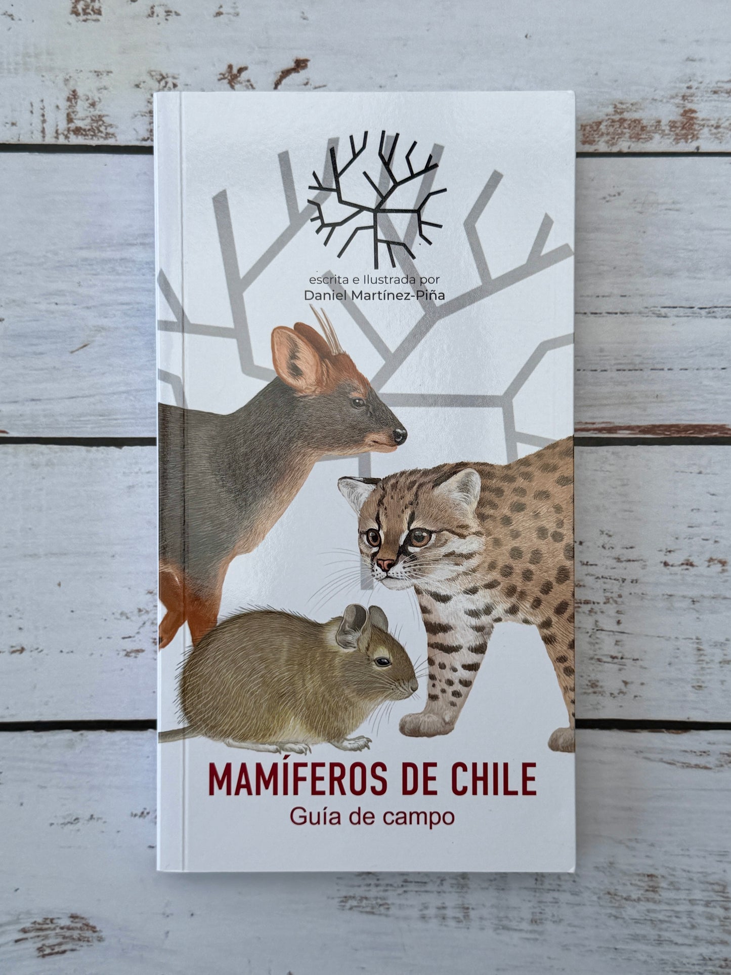 Mamìferos de Chile. guía de campo 2025