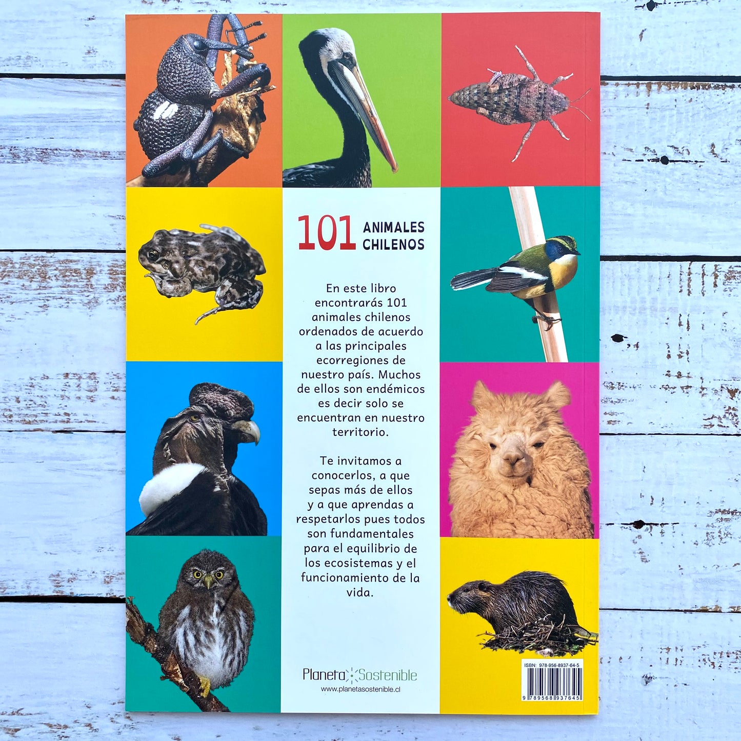 101 animales chilenos